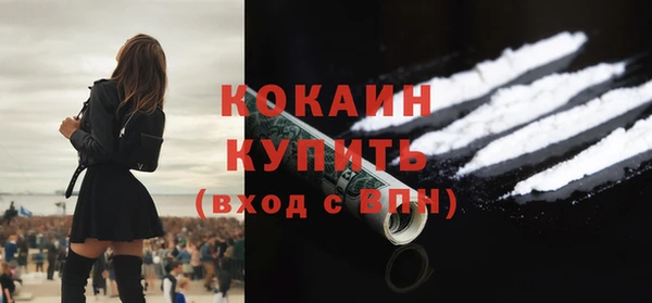 крисы Баксан