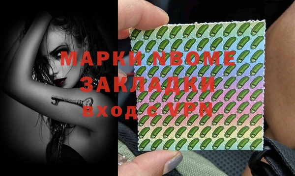прущие грибы Балахна