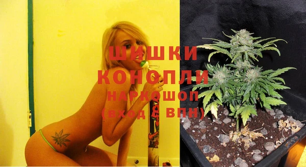 МДПВ Болохово