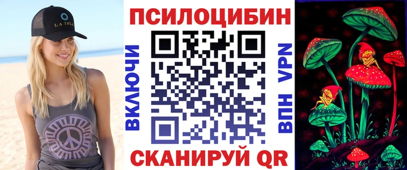 Псилоцибиновые грибы Psilocybe  Свирск 